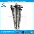 B8 B8M ss304 ss316 stainless steel hex head Thread Cutting Screw